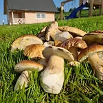 Шале Jaferowka W Gorach Sauna Jacuzzi *