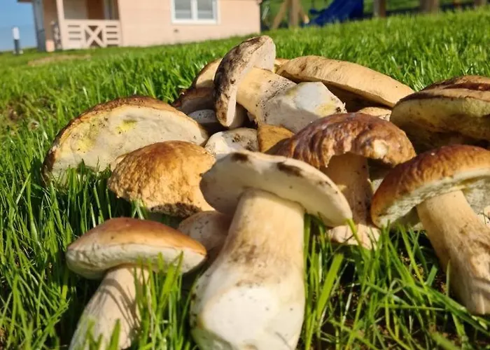 Horská chata Jaferowka W Gorach Sauna Jacuzzi *